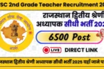 RPSC 2nd Grade Teacher Recruitment 2025: 6500 पदों पर बंपर भर्ती! 19 अगस्त से शुरू होंगे फॉर्म, योग्यता-फीस-सेलेक्शन सब यहां