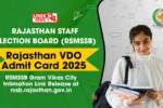 RSSB VDO Admit Card 2025 | RSMSSB Gram Vikas Adhikari Hall Ticket Download